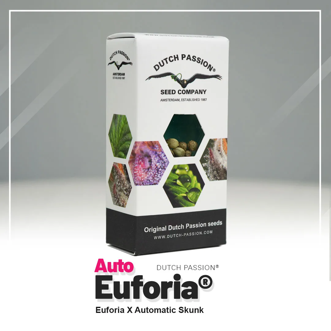 Auto Euforia®