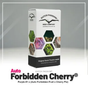 Auto Forbidden Cherry®