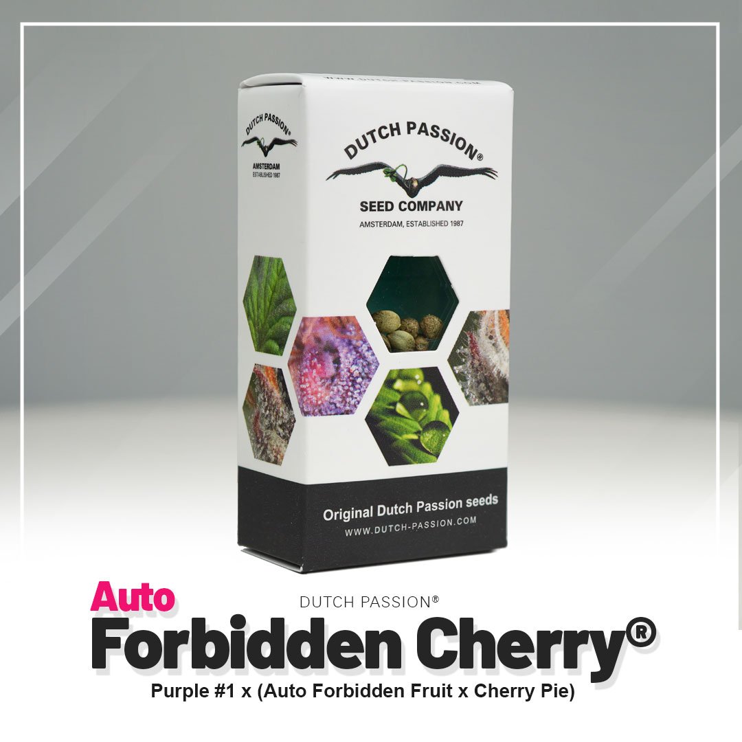 Auto Forbidden Cherry®