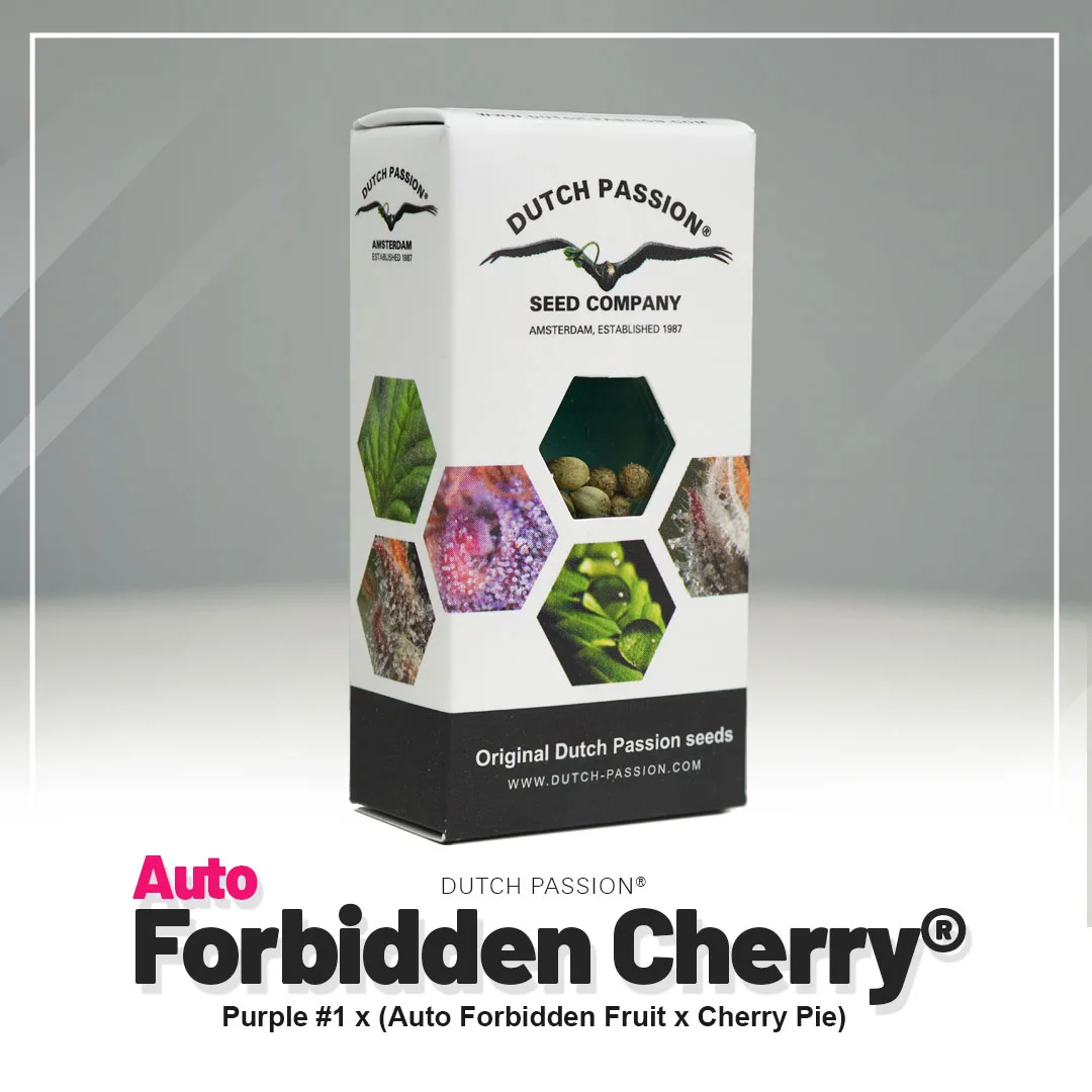 Auto Forbidden Cherry®