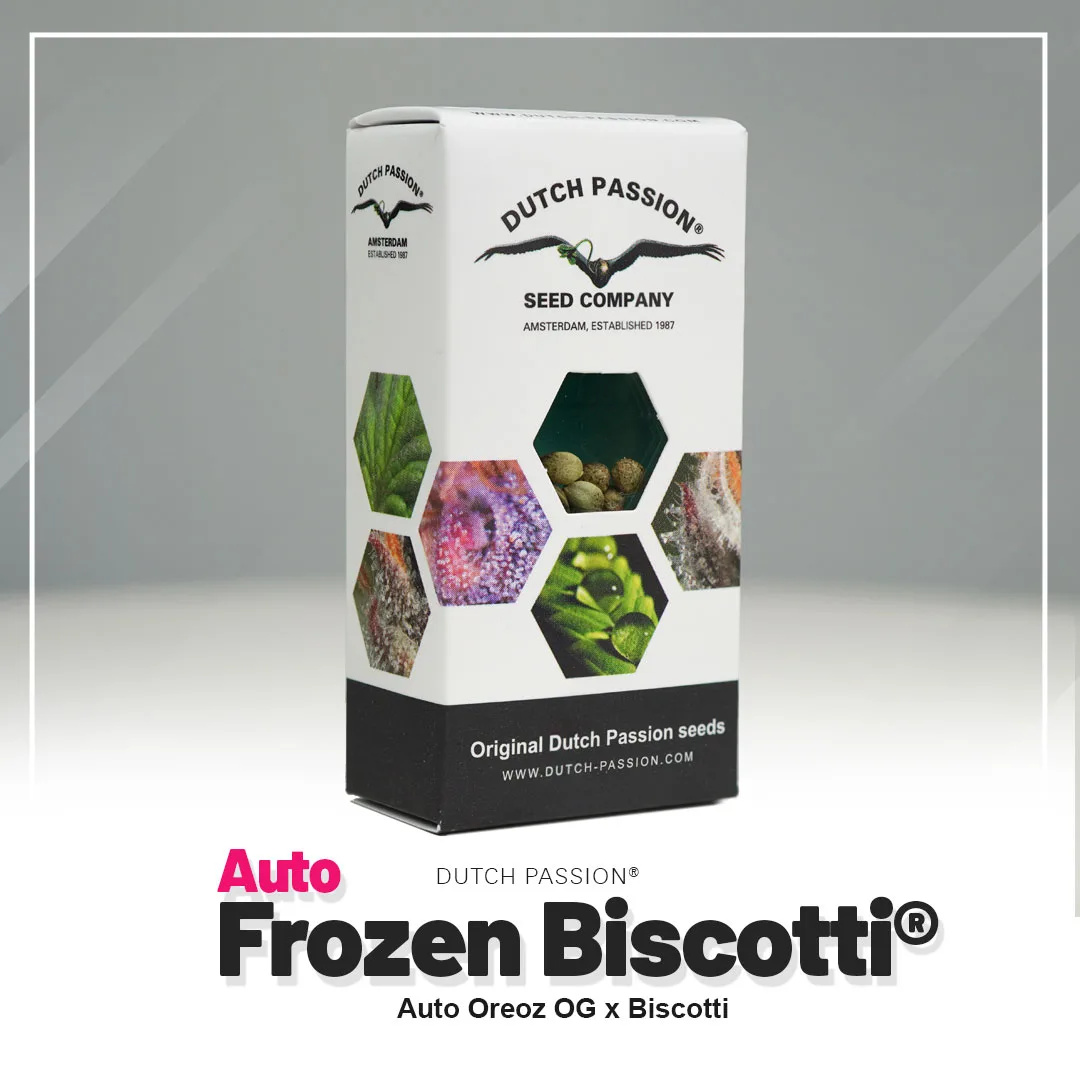 Auto Frozen Biscotti