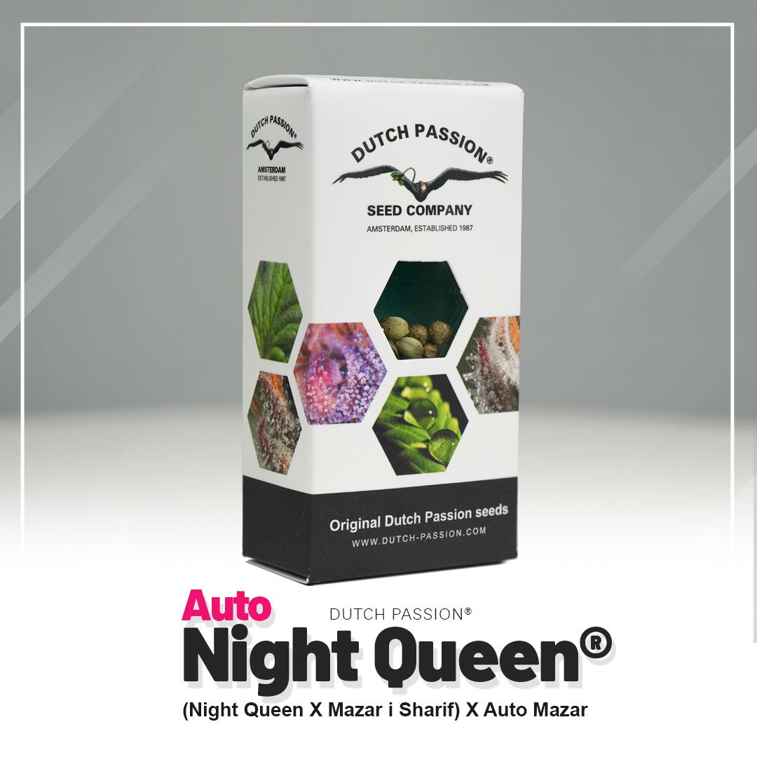 Auto Night Queen®