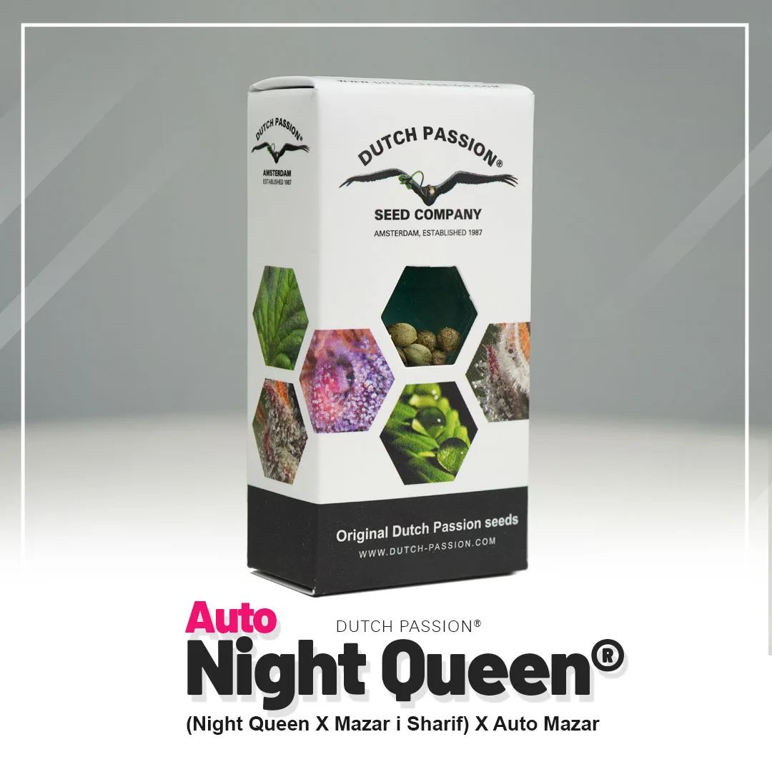 Auto Night Queen®