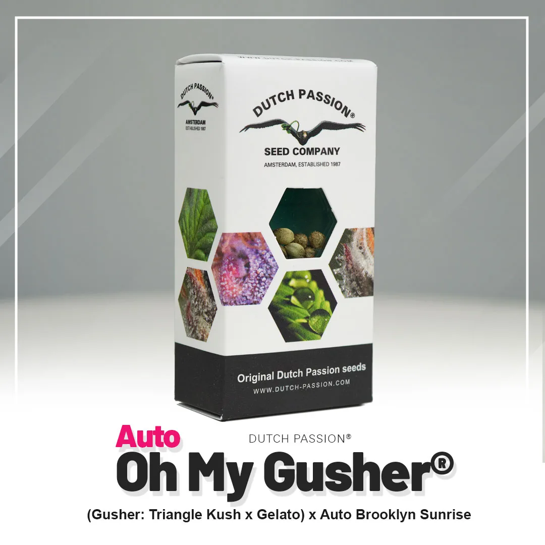 Auto Oh My Gusher®