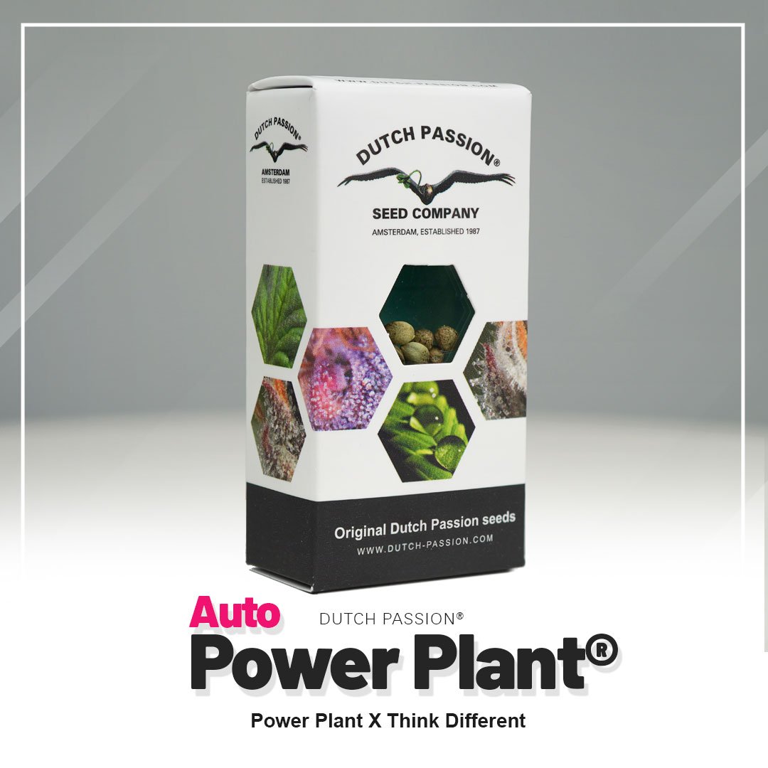 Auto Power Plant®