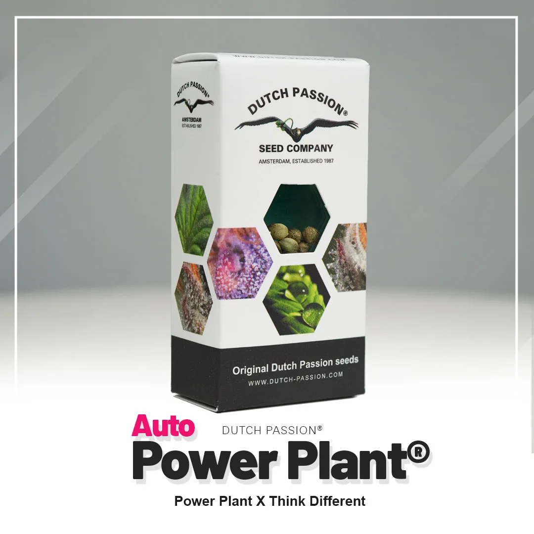 Auto Power Plant®