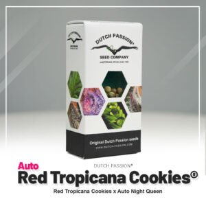 Auto Red Tropicana Cookies