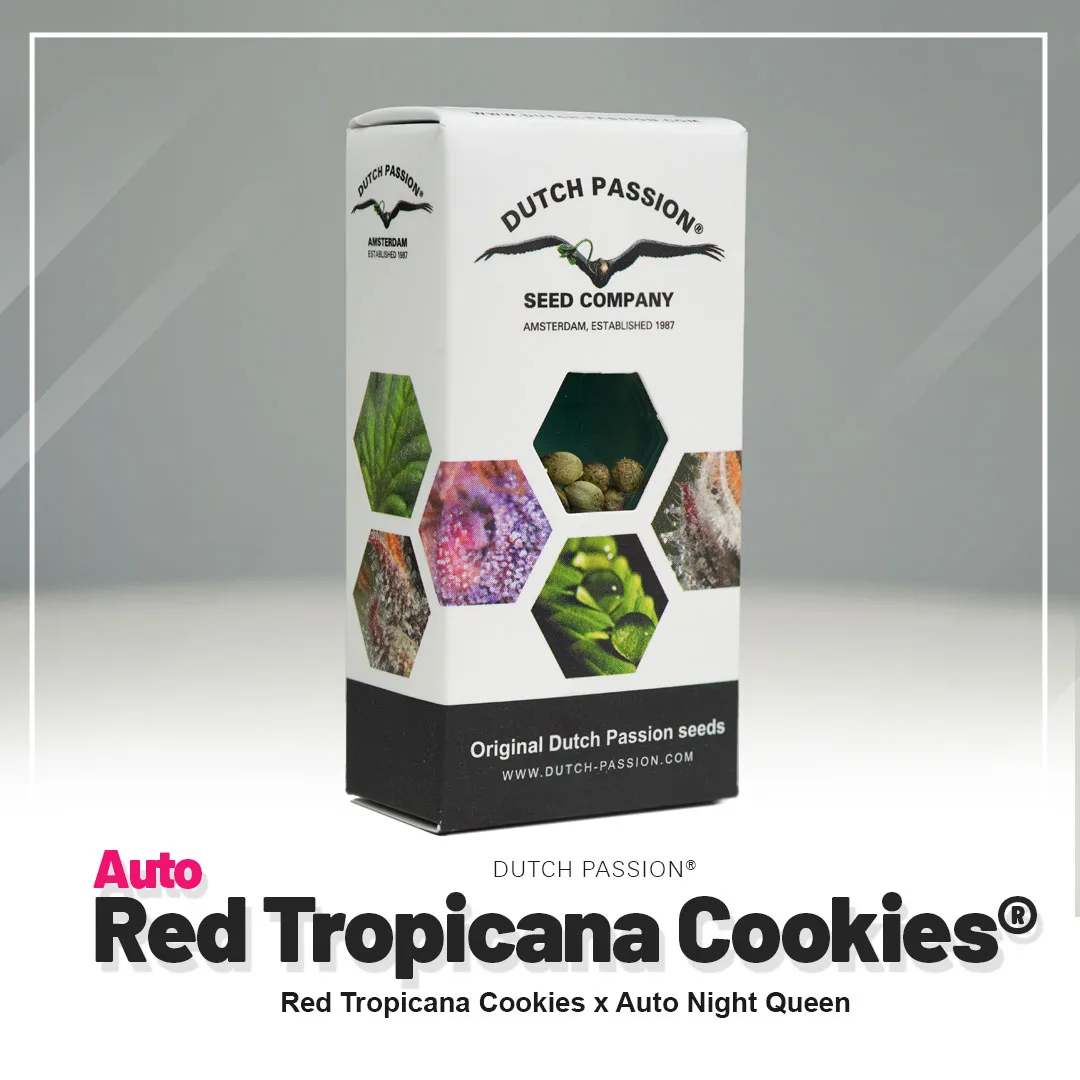 Auto Red Tropicana Cookies