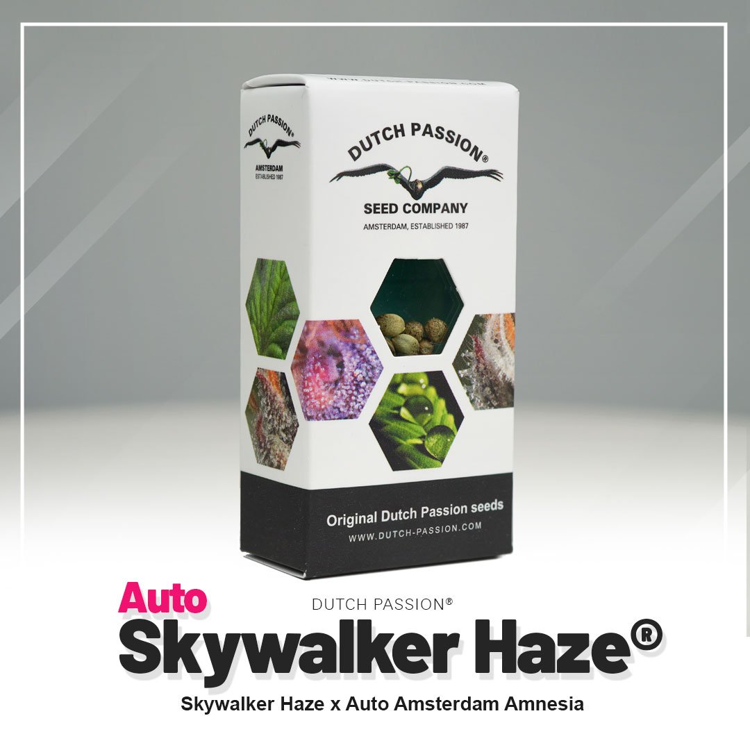 Auto Skywalker Haze®