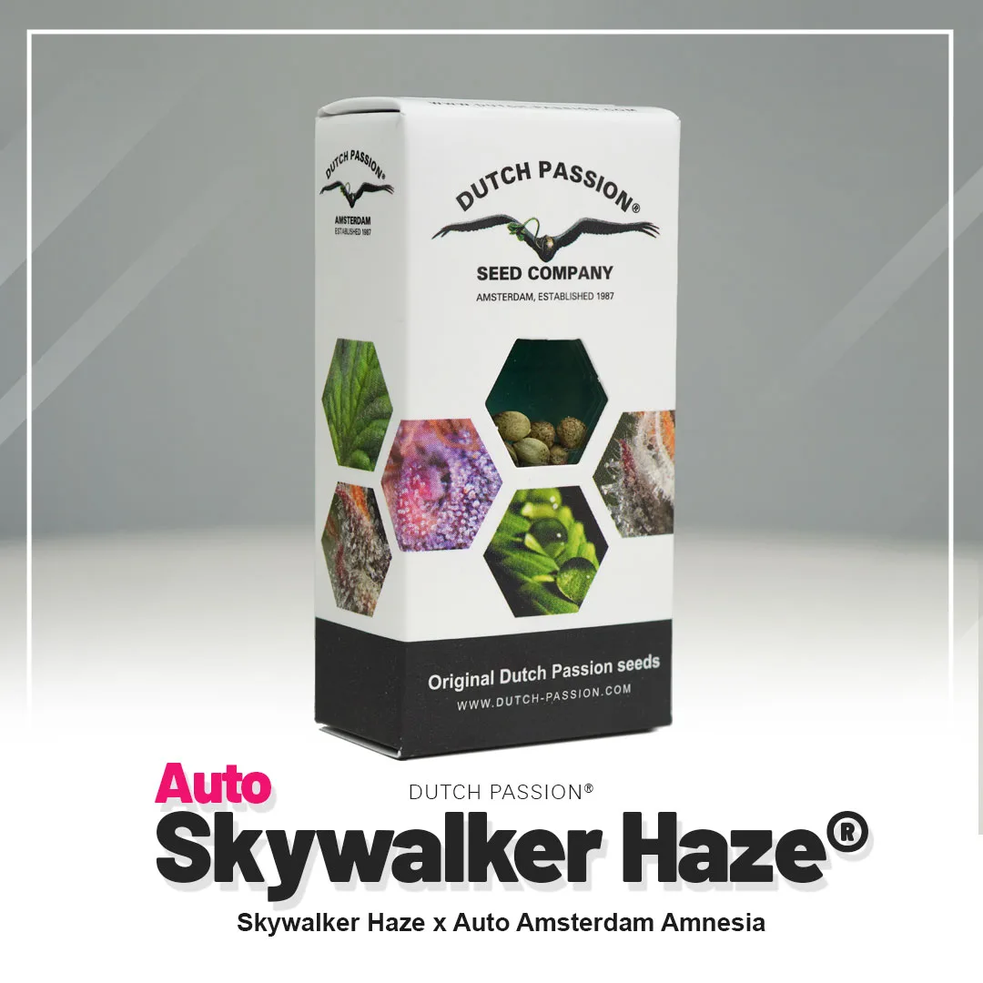 Auto Skywalker Haze®