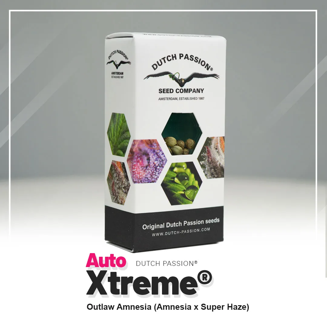 Auto Xtreme Haze®