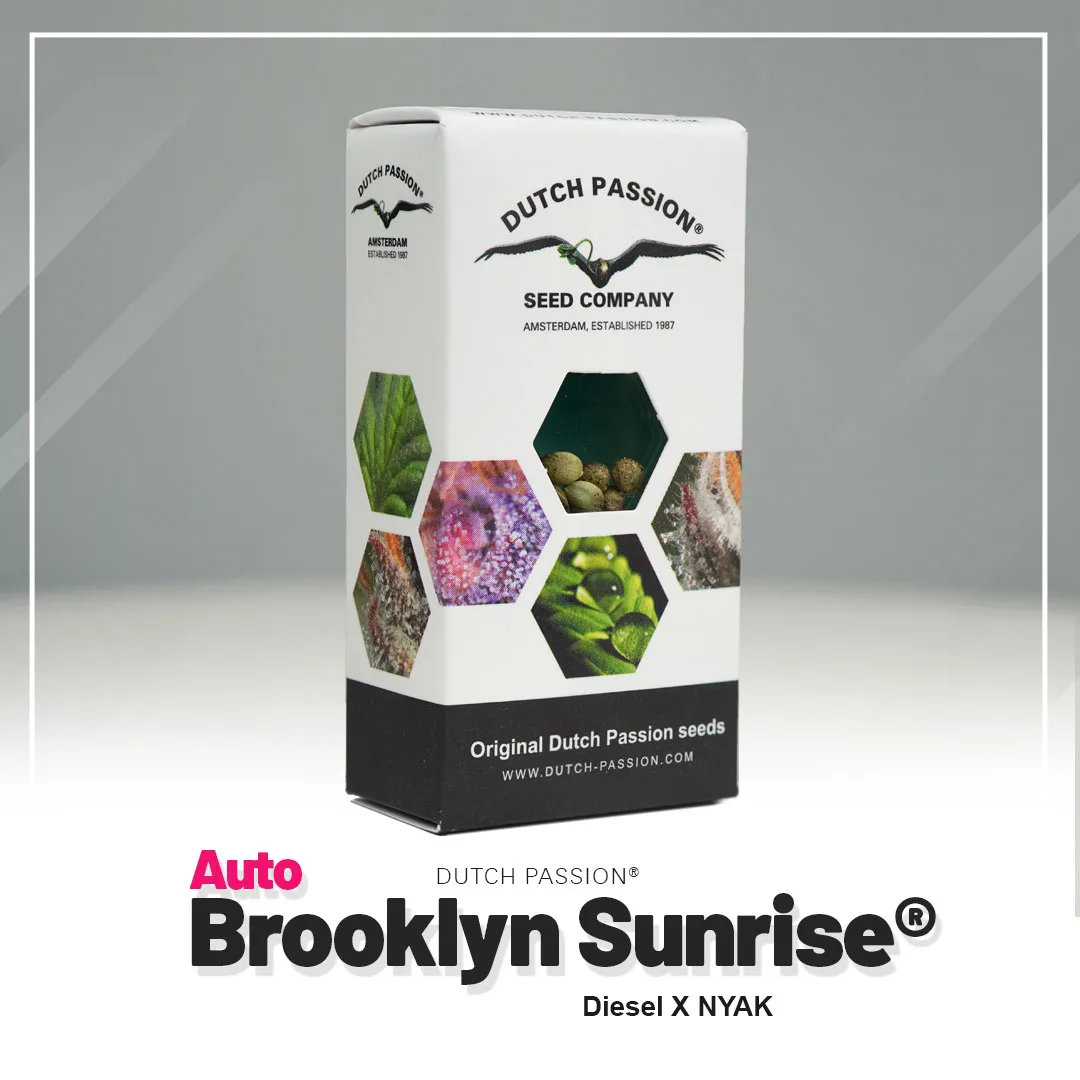 A. Brooklyn Sunrise®