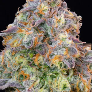 Blue Zlime