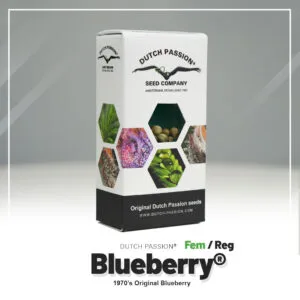 Blueberry®