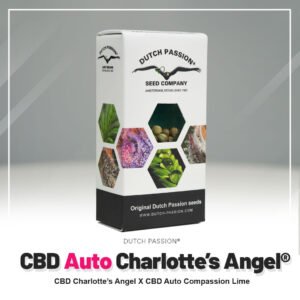 Auto Charlotte’s Angel®