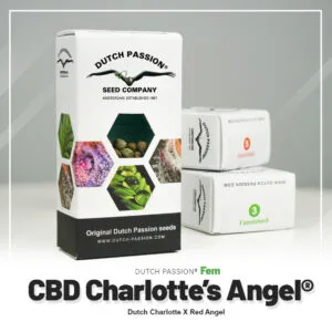 Charlotte’s Angel®