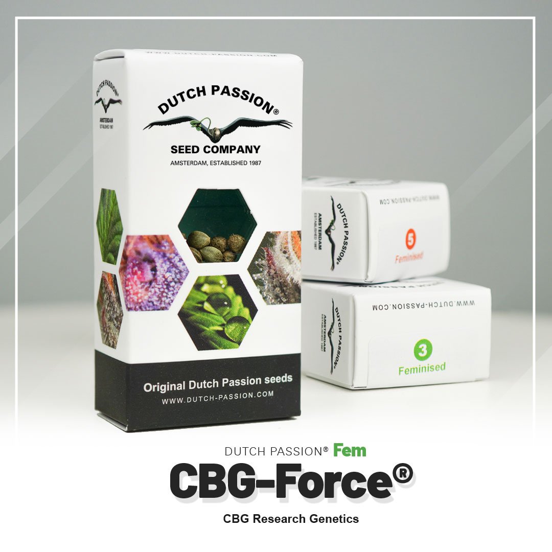 CBG-Force®