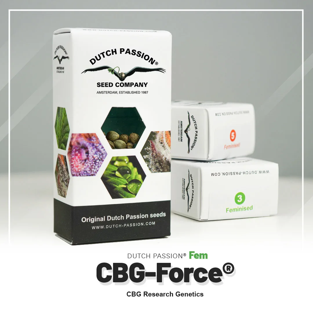 CBG-Force®