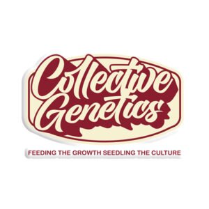 Collective Genetics