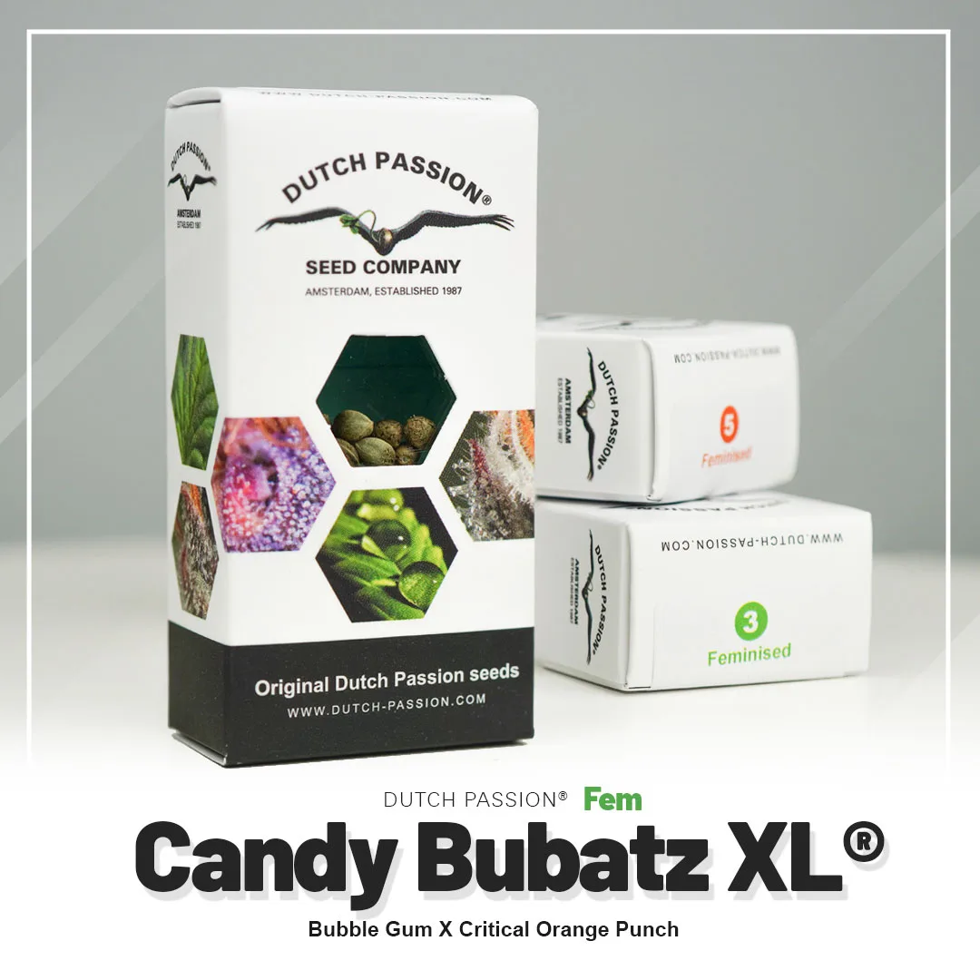Candy Bubatz XL