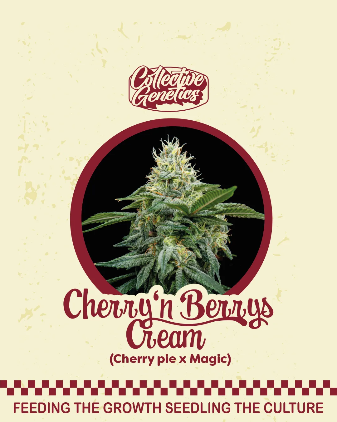 Cherry Berrys Cream