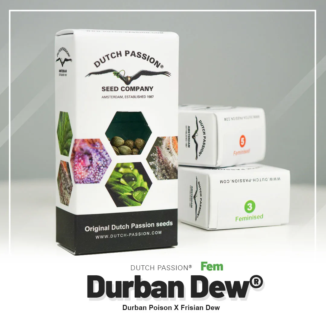 Durban Dew®