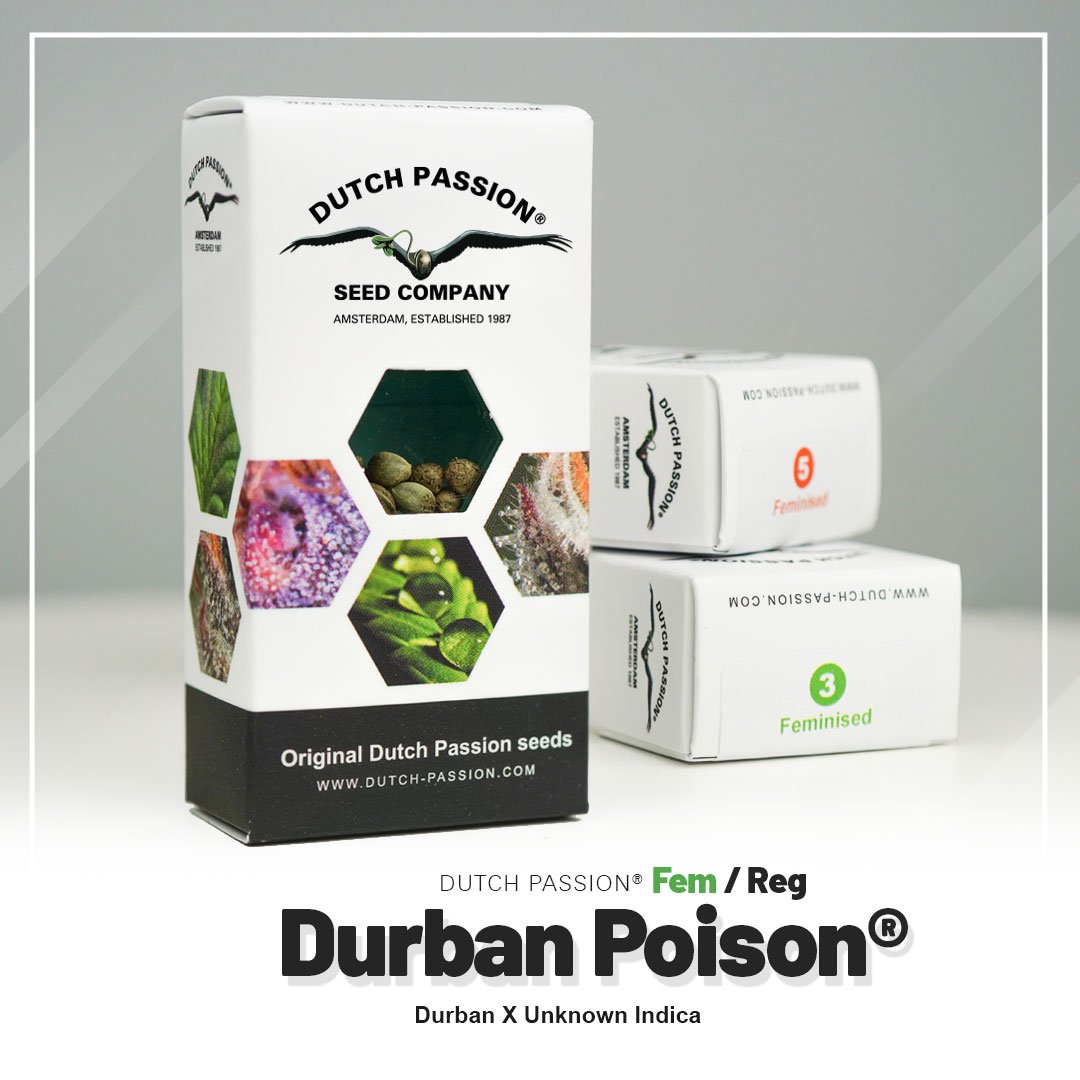 Durban Poison®