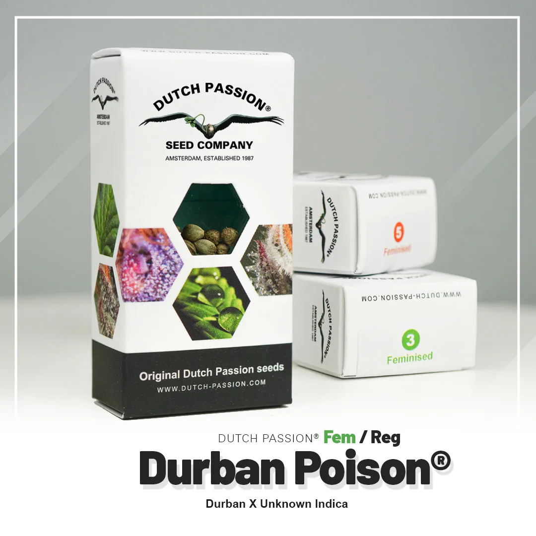 Durban Poison®