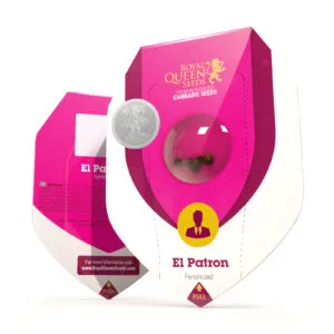 El Patron