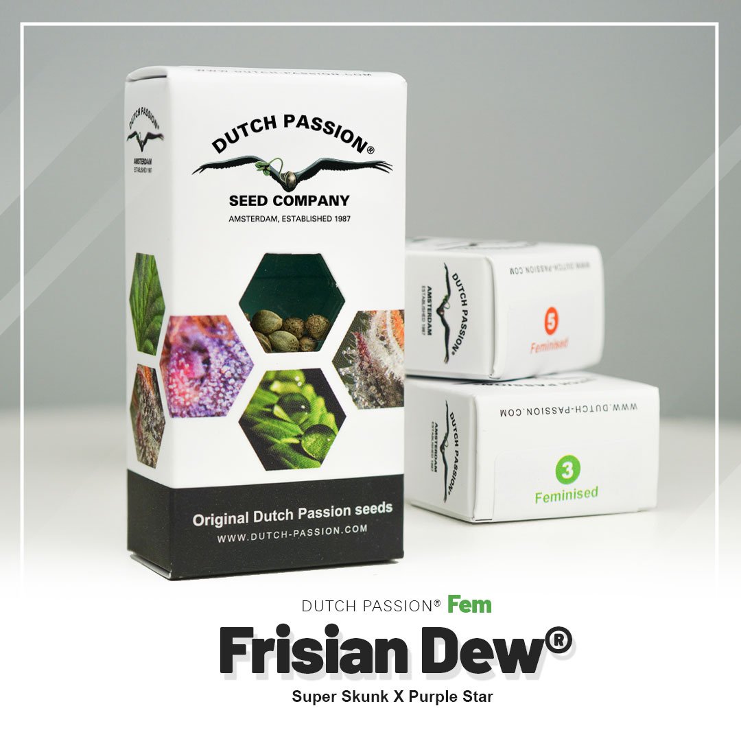 Frisian Dew®