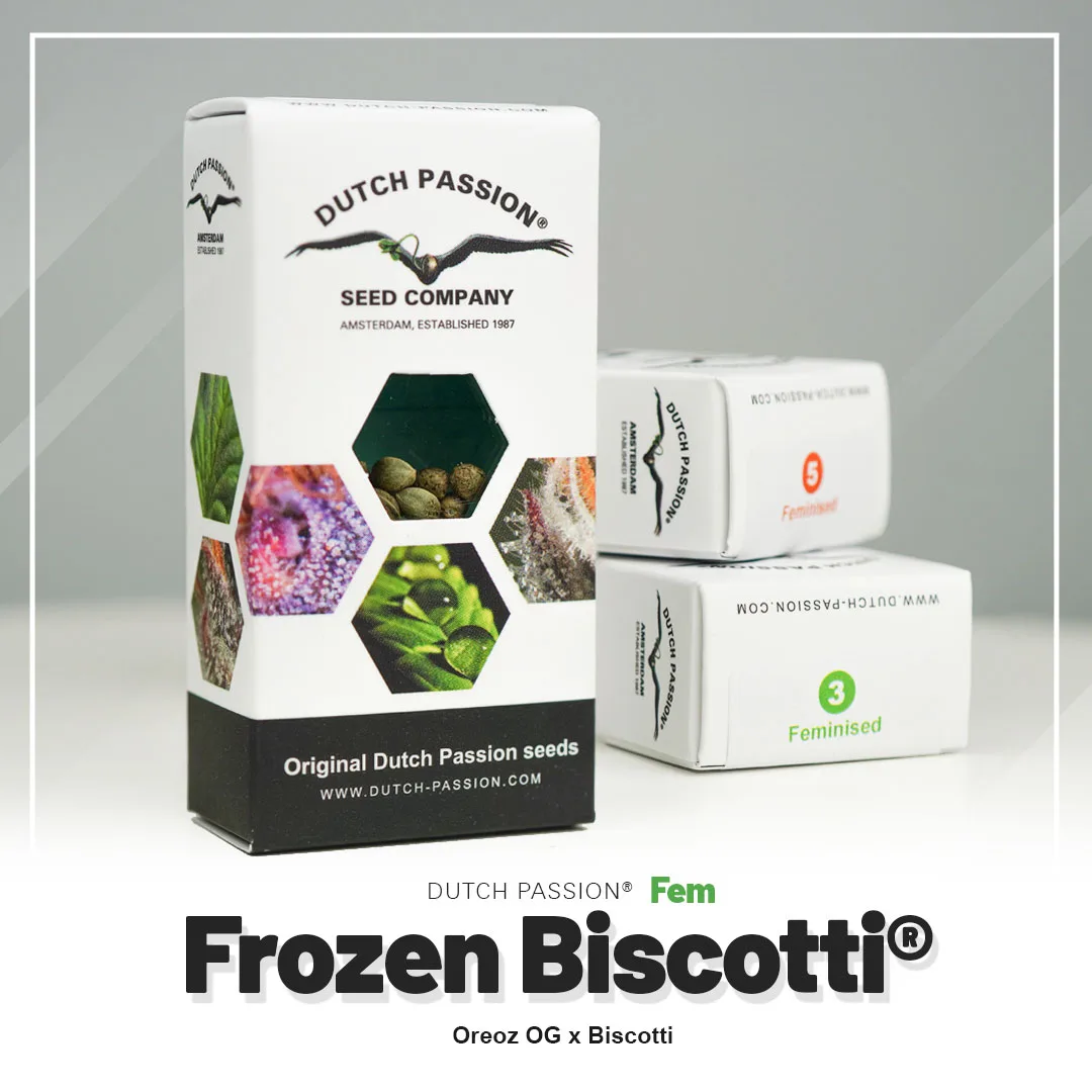Frozen Biscotti