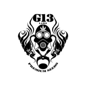 G13 Labs