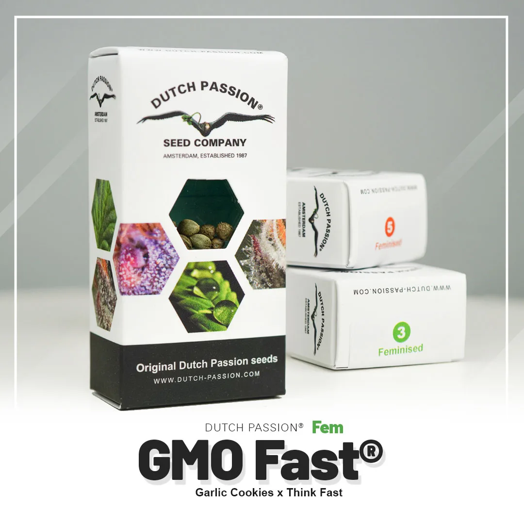 GMO Fast®
