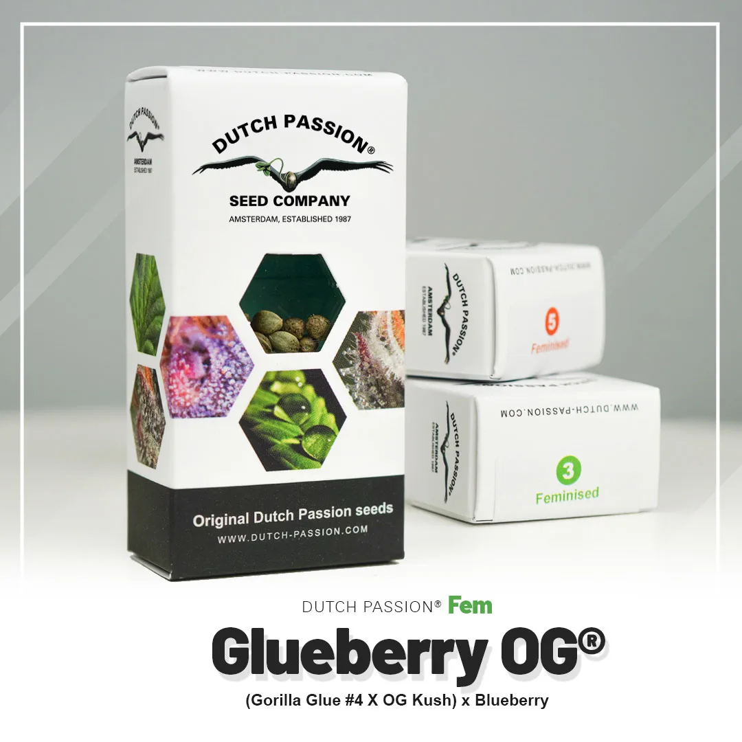 Glueberry O.G.®