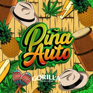 Gorilla Piña Auto