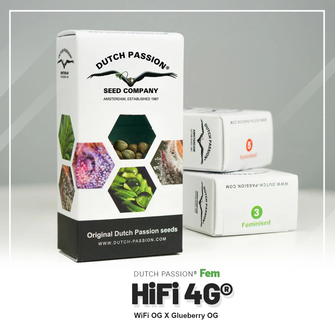 HiFi 4G®