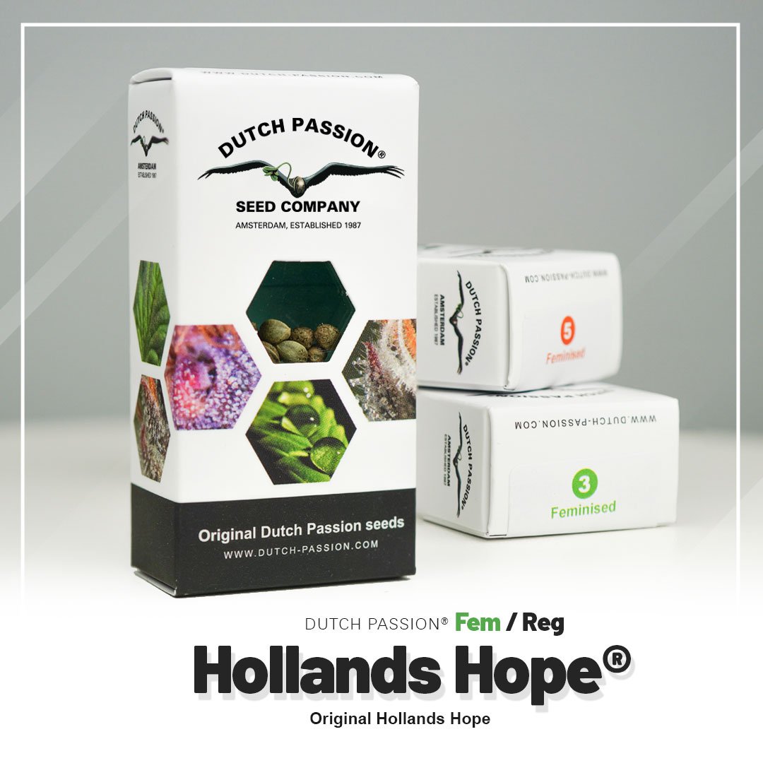 Hollands Hope®