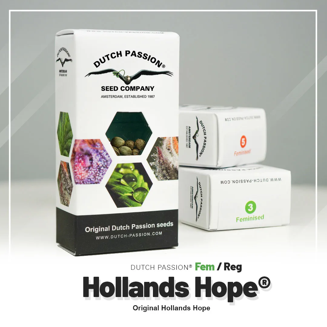Hollands Hope®