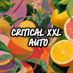 Critical XXL Auto