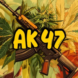 AK-47 Auto