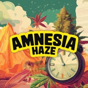 Amnesia Haze