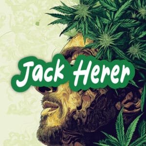 Jack Herer