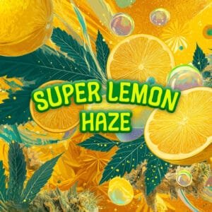 Super Lemon Haze