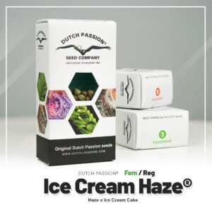Ice Cream Haze