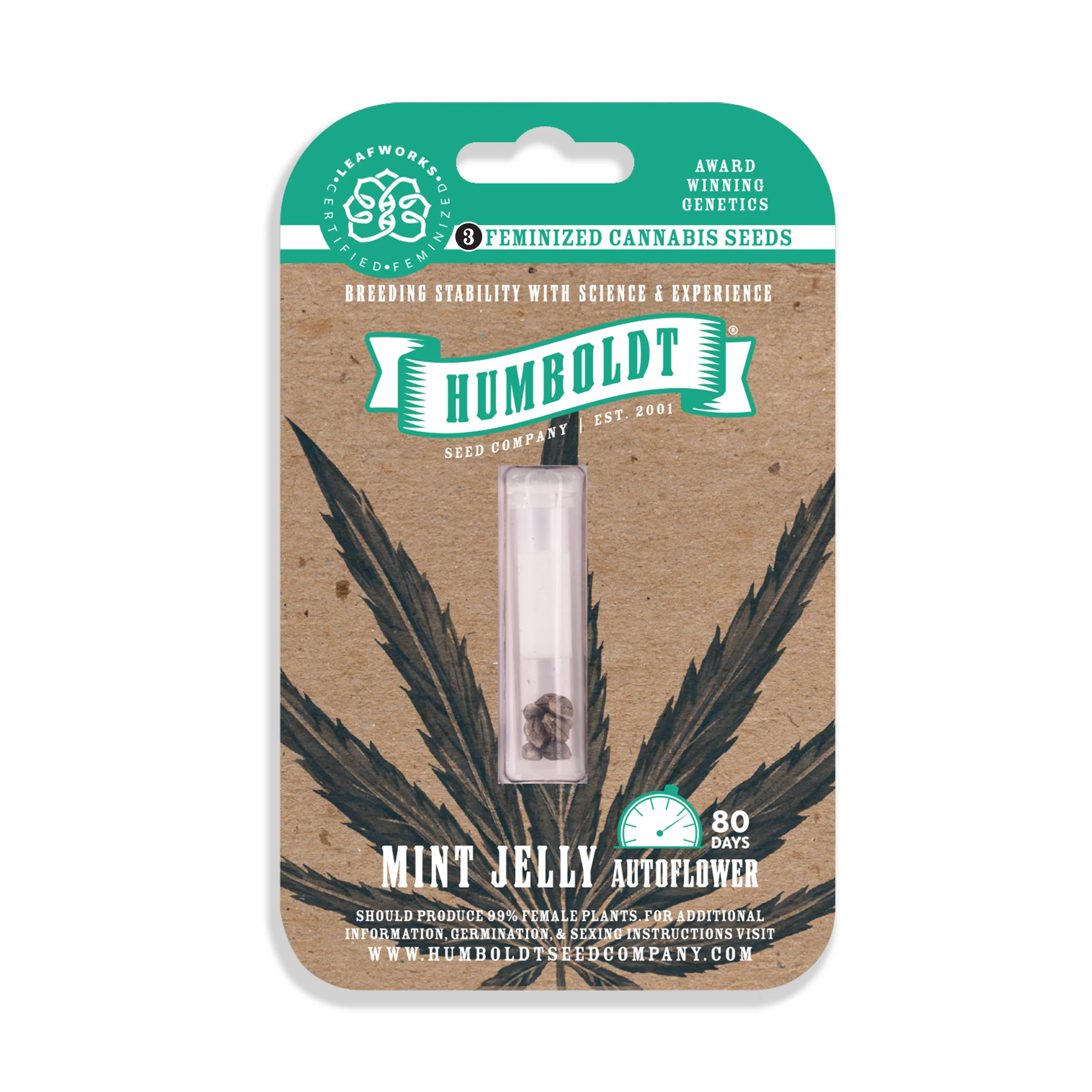 Mint Jelly Autoflower