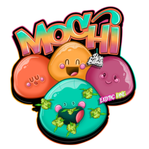 Mochi