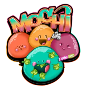 Mochi