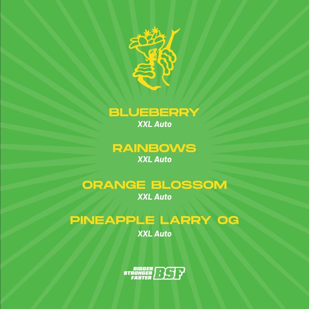 Tutti Frutti XXL Auto - Imagem 2