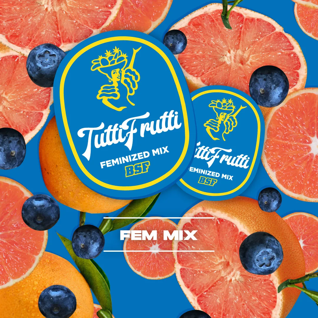 Tutti Frutti Mix
