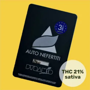 Nefertiti